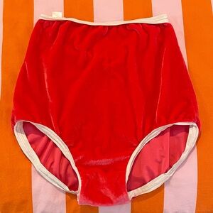 Solstice Intimates high waisted velvet brief